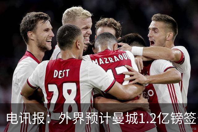 电讯报：外界预计曼城1.2亿镑签安德森 担忧这一价格引发连锁反应